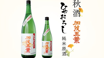 秋酒 ひやおろし純米原酒 9/9発売!